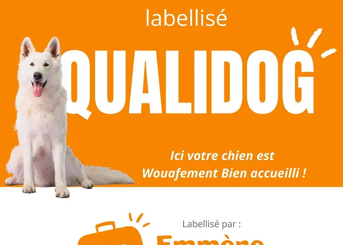 L\'Albatros